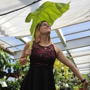 Meet This Posher, Brenda